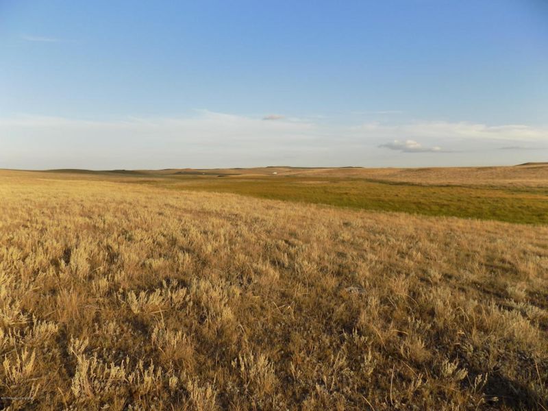 Pasture Land for Sale