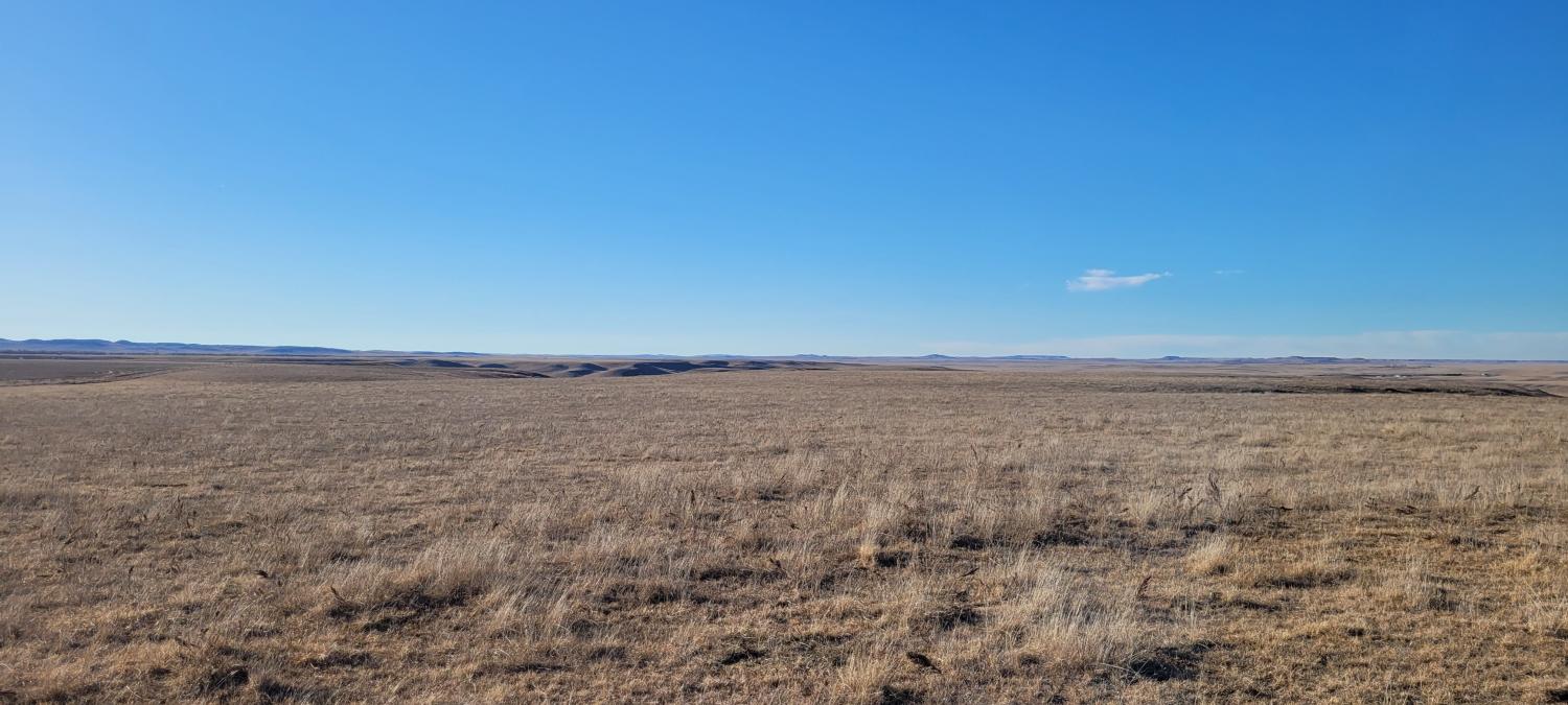 408 +/- Acres of Native Pasture with Highway Frontage For Sale - Western Sioux County, ND 
