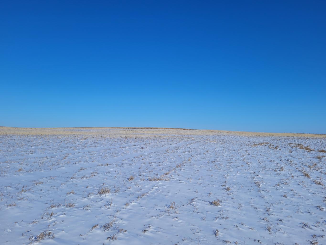 1739 +/- Acres of Golden Valley County, ND Cropland & Pasture For Sale at Public Auction