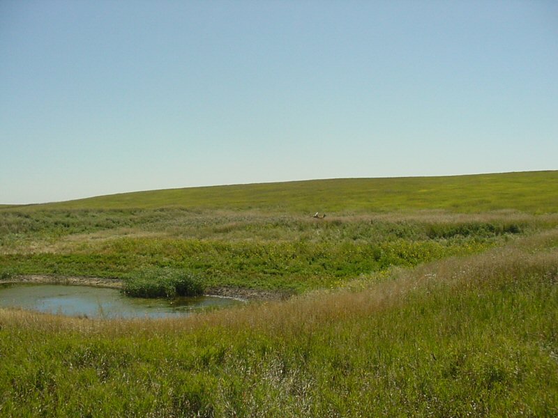 CRP Hunting Property