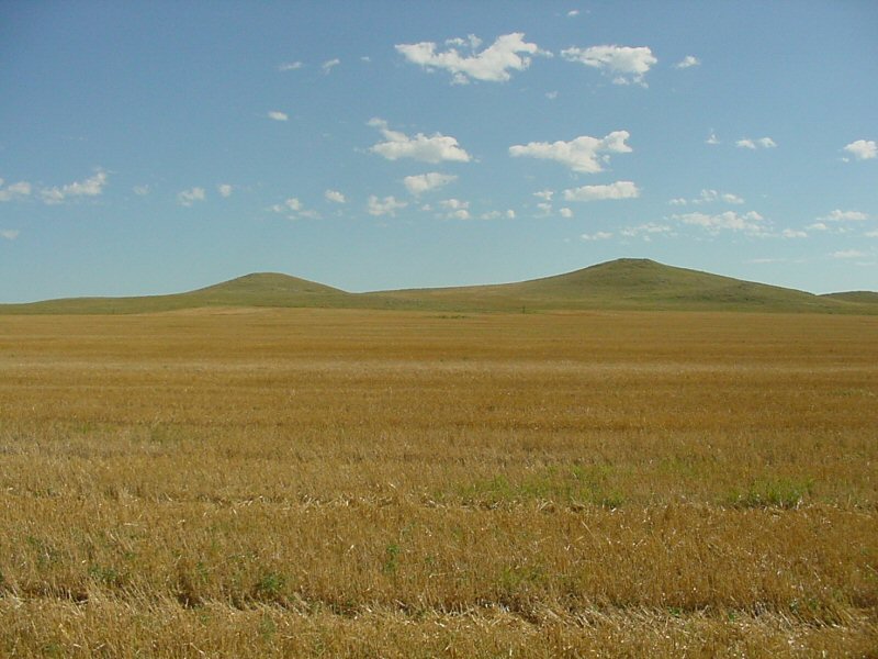 Crop and Pasture Land