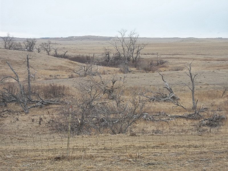 Pasture & Hayland For Sale at Absolute Auction