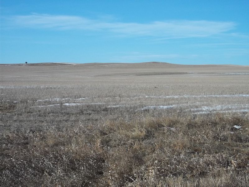 Cropland For Sale at Public Auction