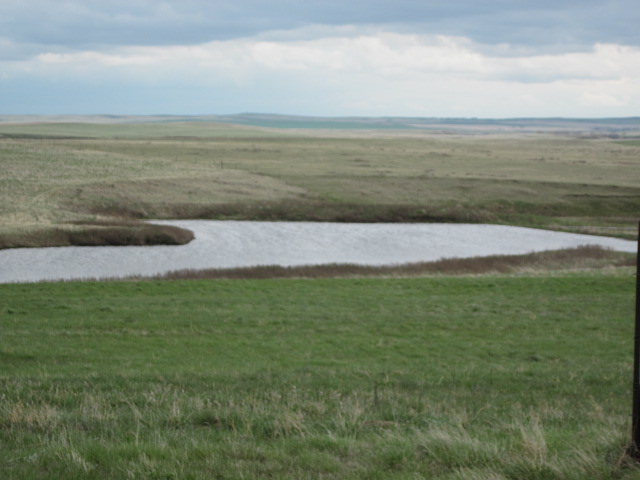 Farm/Ranch & CRP Land For Sale At Public Auction