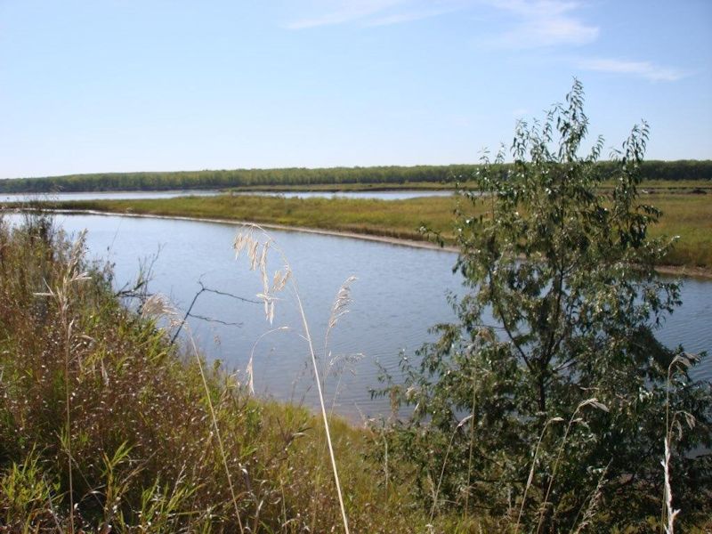 #086ww - 20 +/- Acres of Missouri River Bottom Land For Sale at Public Auction