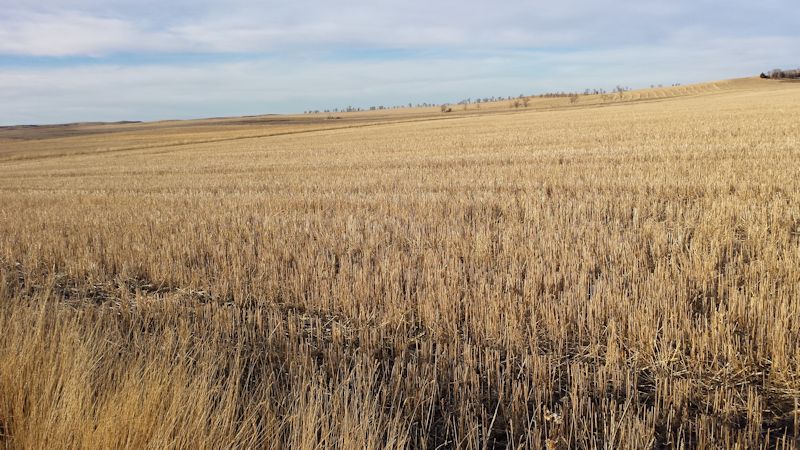 Farmland For Sale at Public Auction