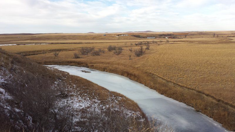 Crop and Pasture Land For Sale at Public Auction