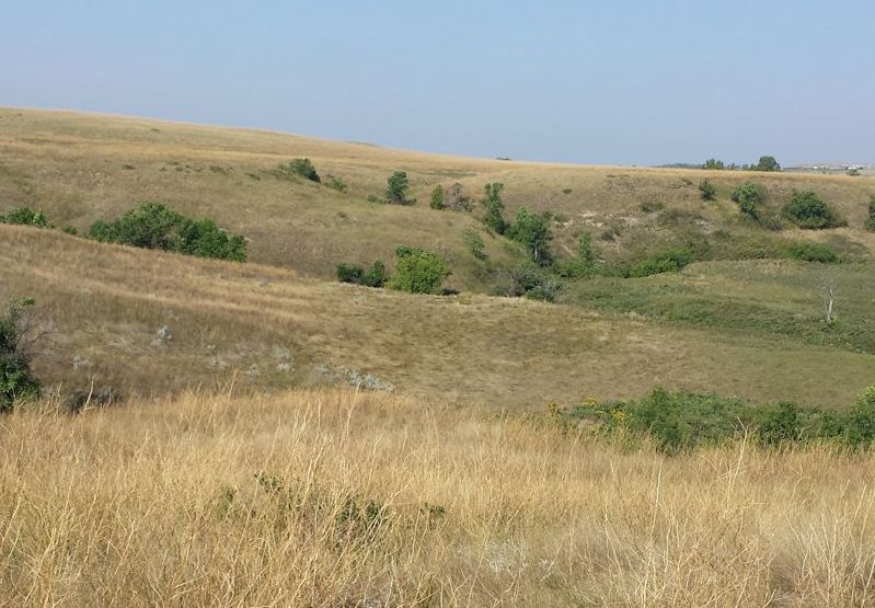 Pasture & Hay Land For Sale at Public Auction