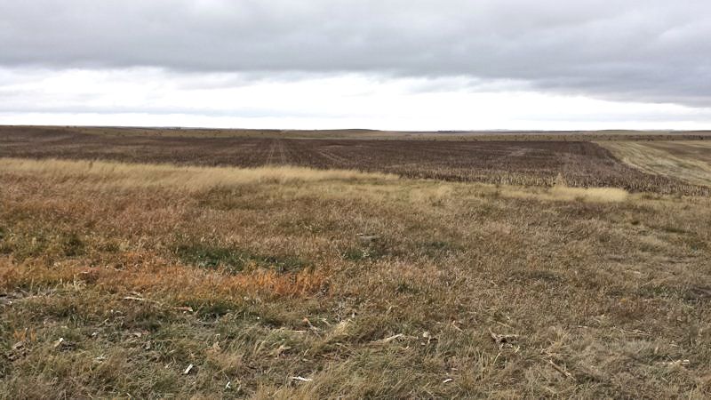 #101ww - 2376.59 +/- Acres of Cropland & CRP For Sale at Public Auction