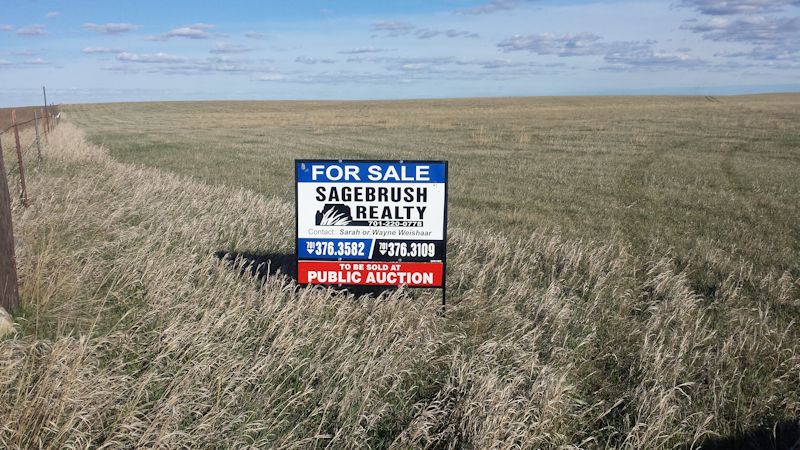 Cropland For Sale at Public Auction