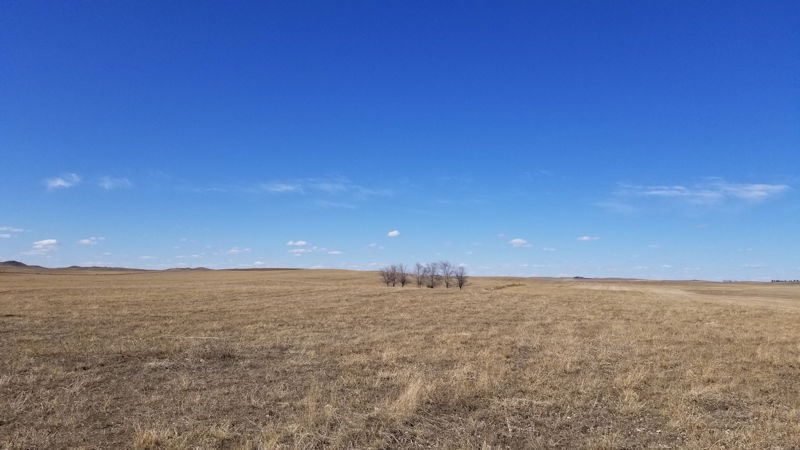 Cropland/Hayland