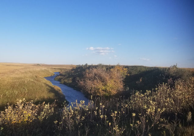 Cedar River Cropland & River Bottom For Sale